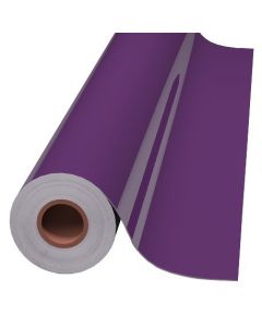 24IN VIOLET 651 INTERMEDIATE CAL